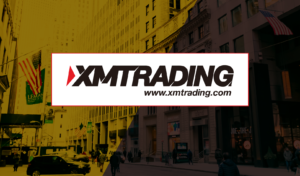 XMTrading 口座選びで失敗しないために｜よくある誤解と取引スタイル別おすすめ口座